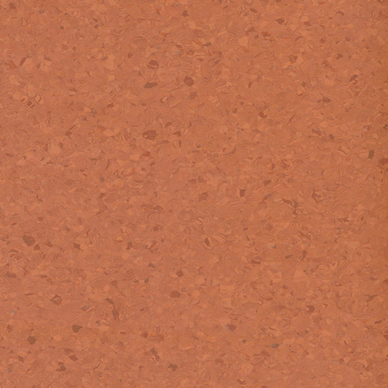 Viacfarebná homogénna podlaha