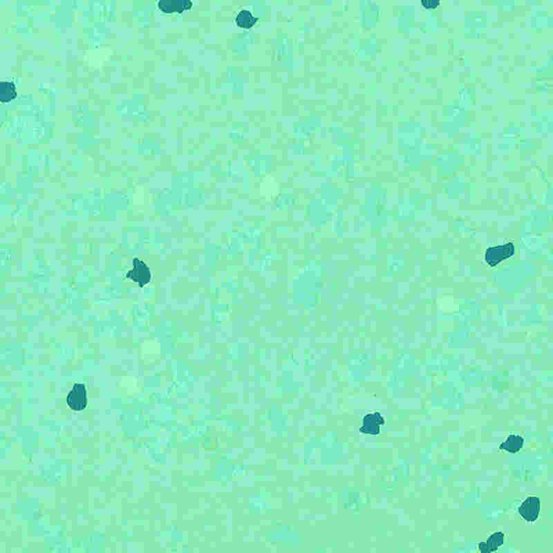 Gumená podlaha odolná proti poškriabaniu a vysokej elasticite