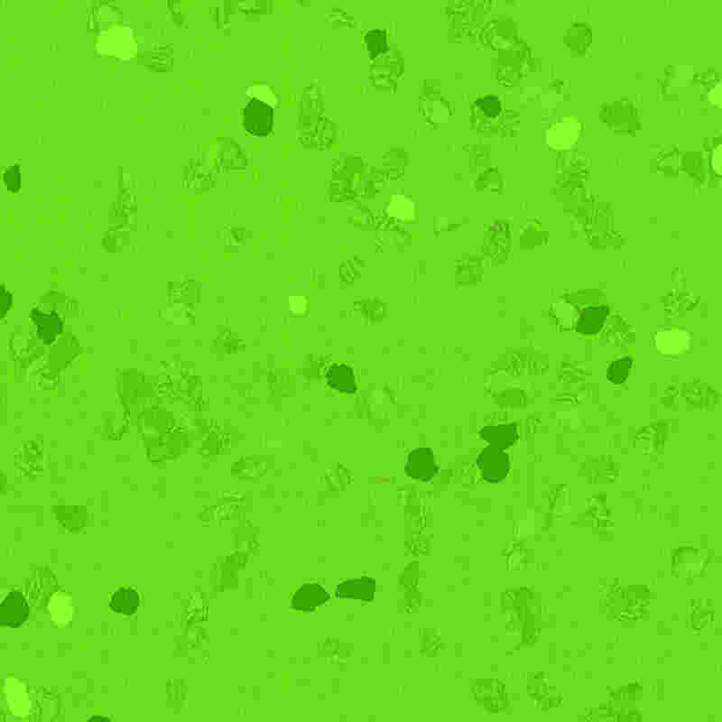 Gumená podlaha odolná proti poškriabaniu a vysokej elasticite