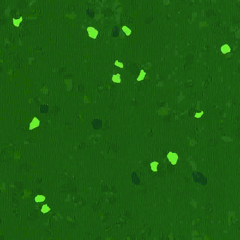 Gumená podlaha odolná proti poškriabaniu a vysokej elasticite