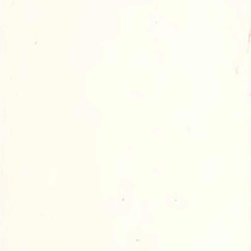 Vysoká prispôsobivosť a bezšvové gumené podlahy