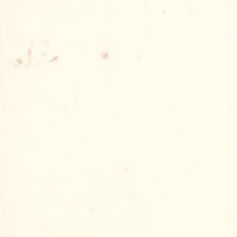 Vysoká prispôsobivosť a bezšvové gumené podlahy