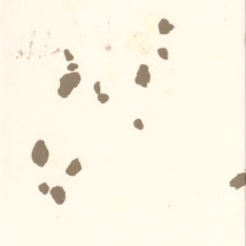 Ekologické gumené podlahy